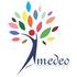 Amedeo Resources logo