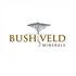 Bushveld Minerals Logo