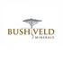 Bushveld Minerals