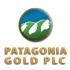 Patagonia Gold Logo