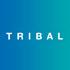 Tribal Grp. logo